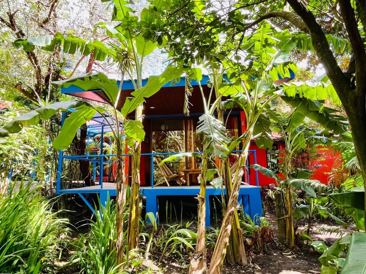 El Sol Monteverde